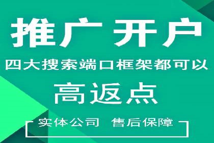 百度竞价SEM案例：如何利用数据分析优化广告效果